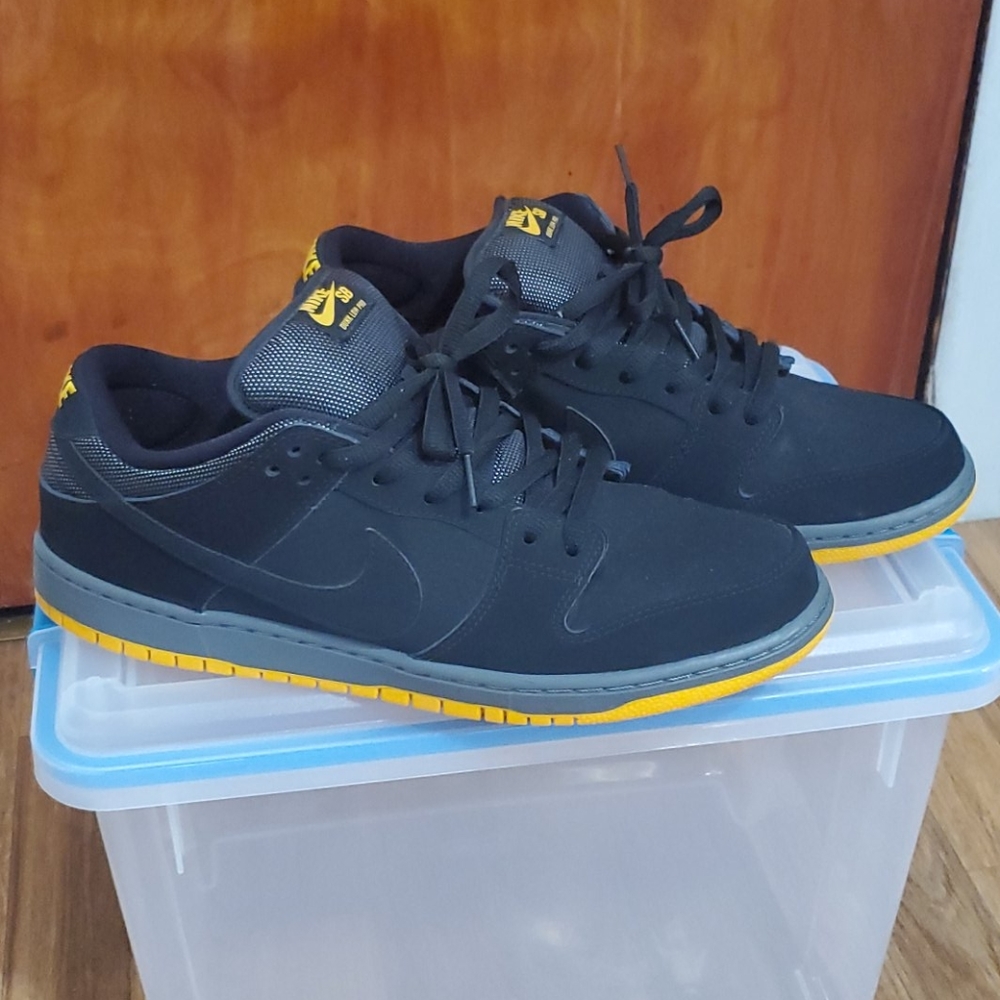 Nike SB size 13